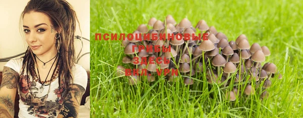 PSILOCYBIN Нея
