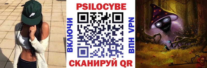kraken зеркало  Дегтярск  Галлюциногенные грибы Psilocybe 